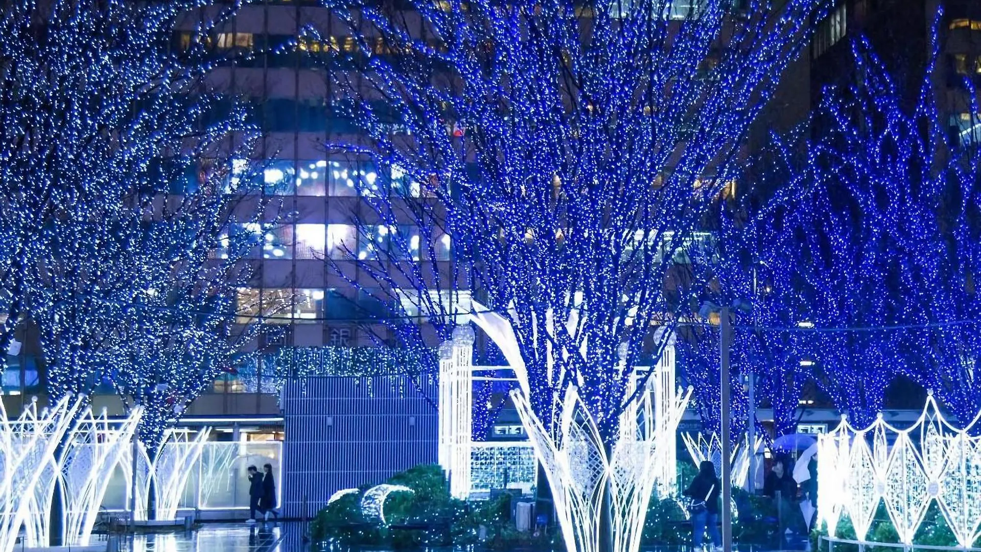 Cezanne Apartment Fukuoka  0*, Fukuoka (Fukuoka)